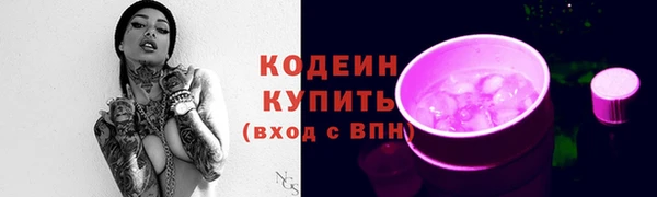 стафф Новозыбков