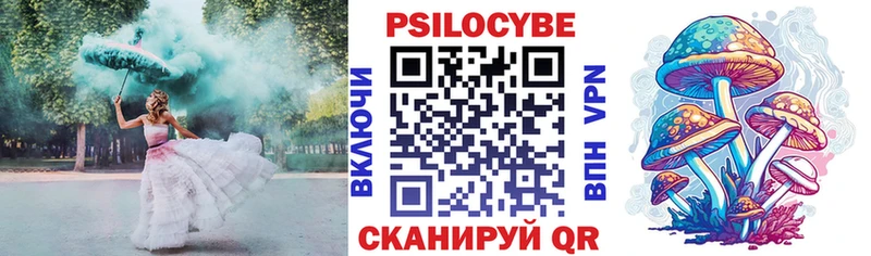 Галлюциногенные грибы Psilocybe  купить наркотик  Тотьма 